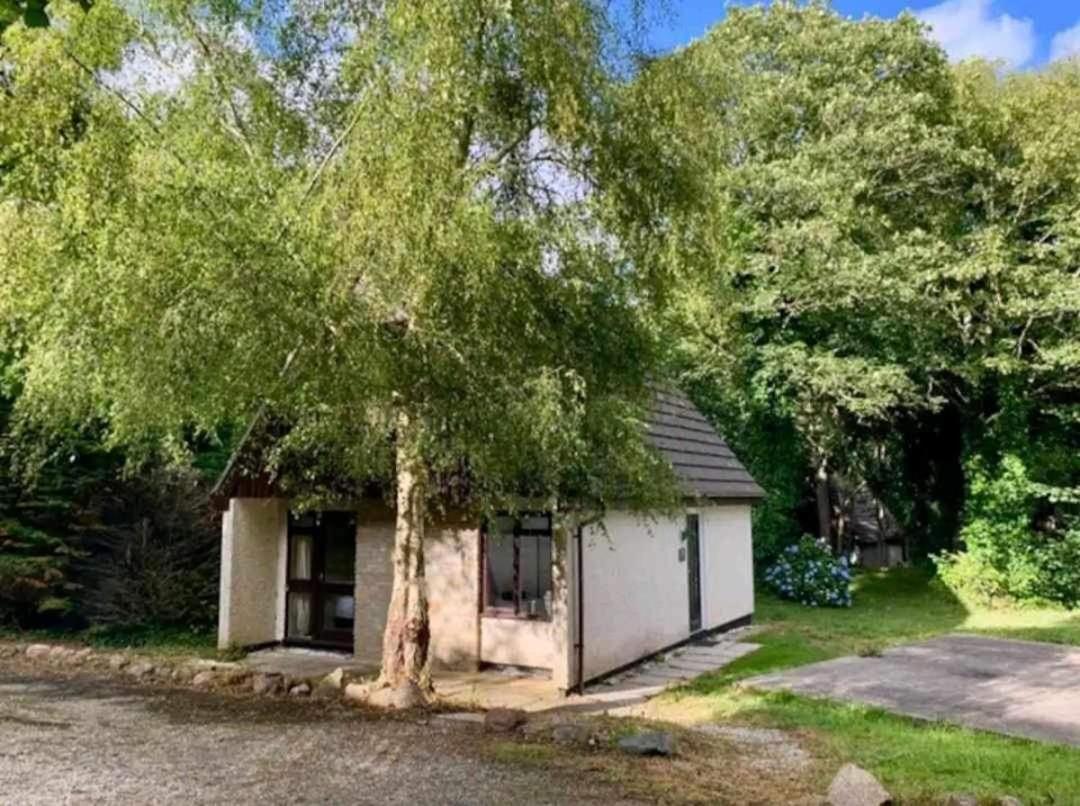 St Ives Bluebell Cottage Екстериор снимка